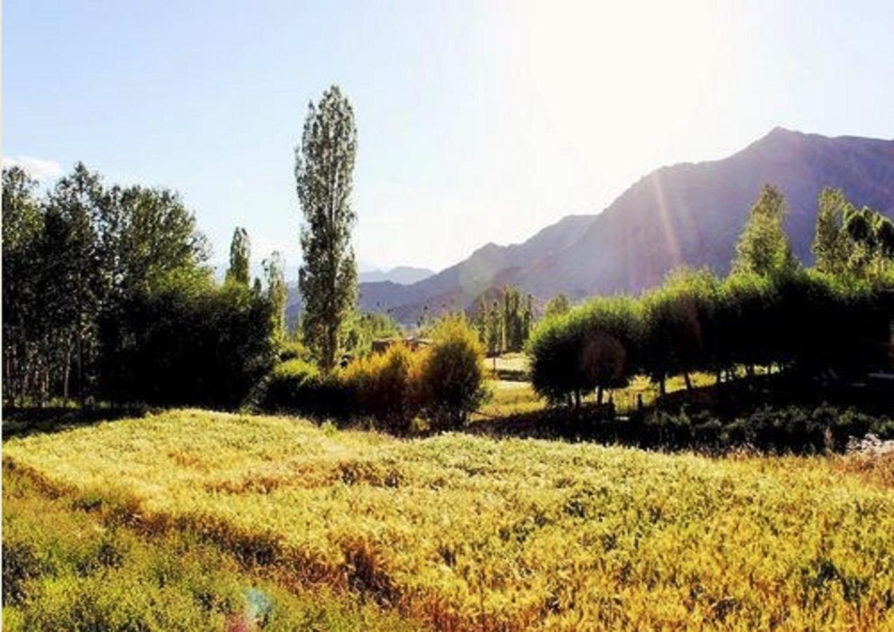 Himalayan Residency Ladakh Leh Exterior foto